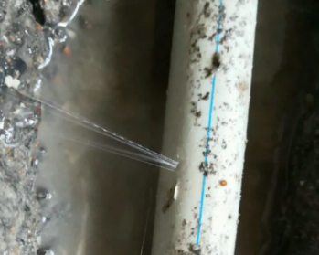 柞水卫生间测漏水多少钱