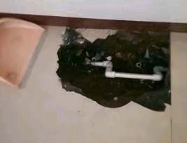 柞水卫生间测漏水多少钱