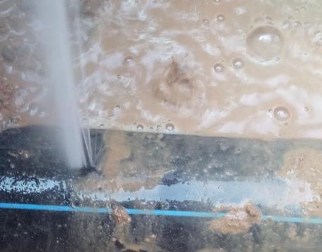 柞水卫生间防水哪家好